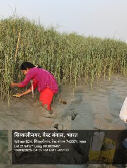 WhatsApp Image 2025-04-28 at 1.32.37 PM